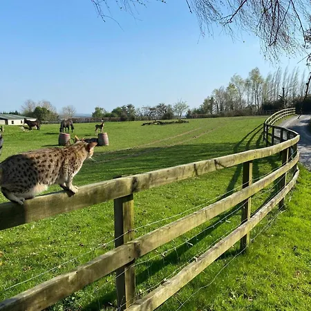 Daire Deerpark Stables Belmont (Offaly)